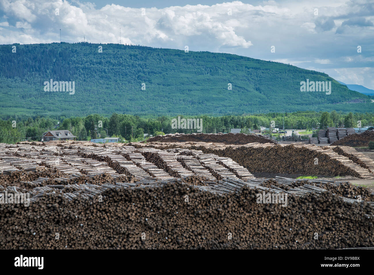 logging mill, chetwynd, bc, Canada, logs, wood, industry Stock Photo