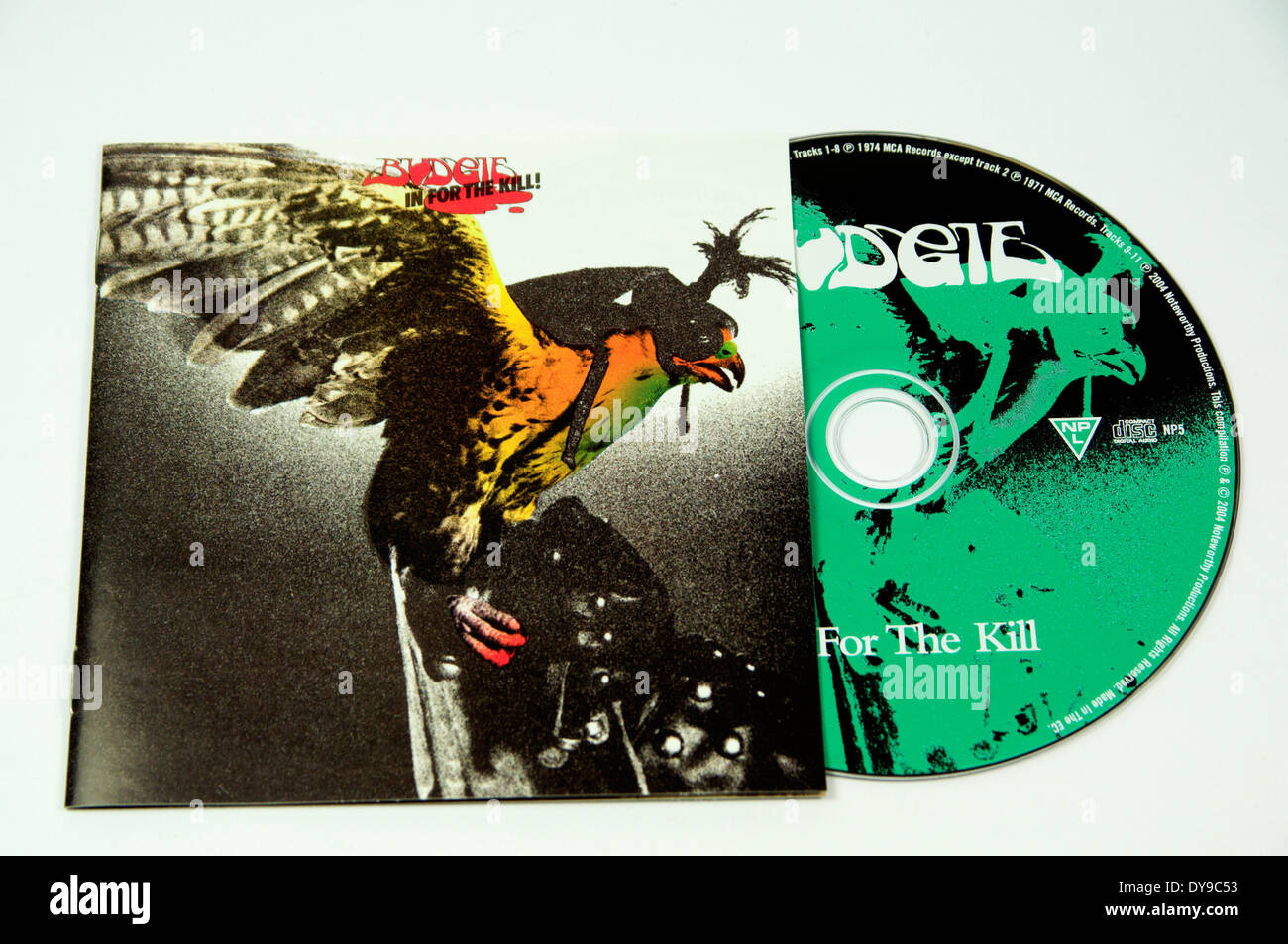Budgie in for the Kill CD Stock Photo Alamy