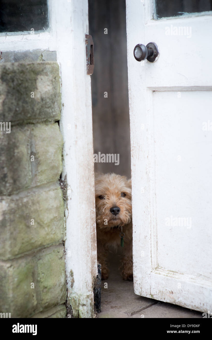 Animals doing funny things hi-res stock photography and images - Alamy Animals doing funny things hi-res stock photography and images - Alamy