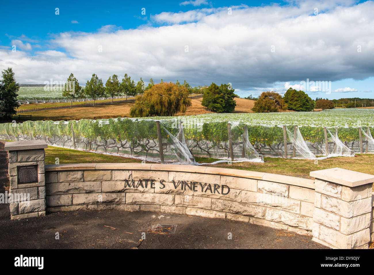 Kumeu north auckland north island hires stock photography and images