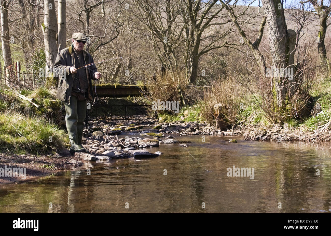 Man fly fishing for wild brown trout in the Olchon Brook near Longtown Herefordshire England UK