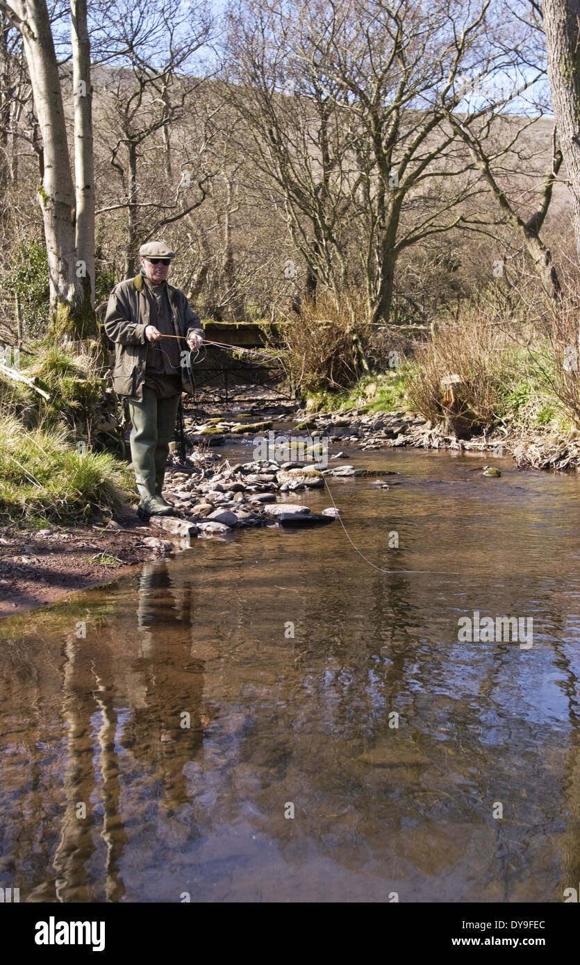 Man fly fishing for wild brown trout in the Olchon Brook near Longtown Herefordshire England UK