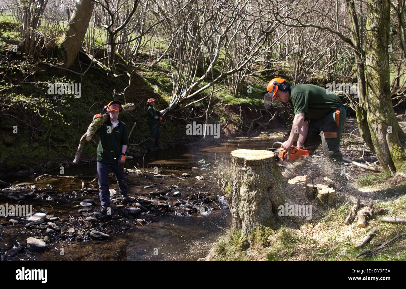 Conservation work improving the river habitat on the Olchon Brook near ...