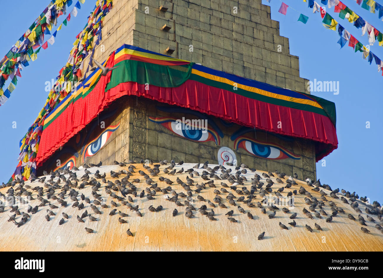 The 'morning pigeons, Boudhanath Stupa, Kathmandu, Nepal. Stock Photo