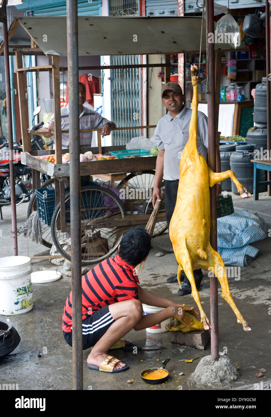 Goat hanging outside butcher's in Pokhara, Nepal Stock Photo Alamy