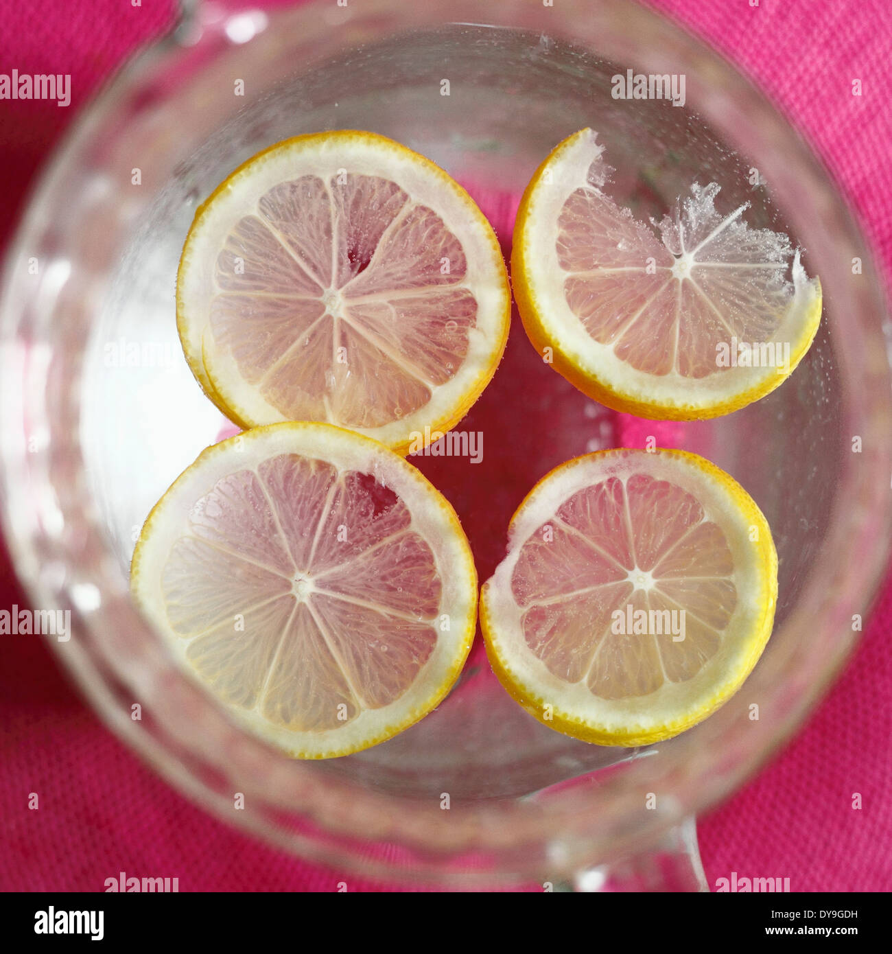 Glass Jug Lemon Slice - Coast to Coast