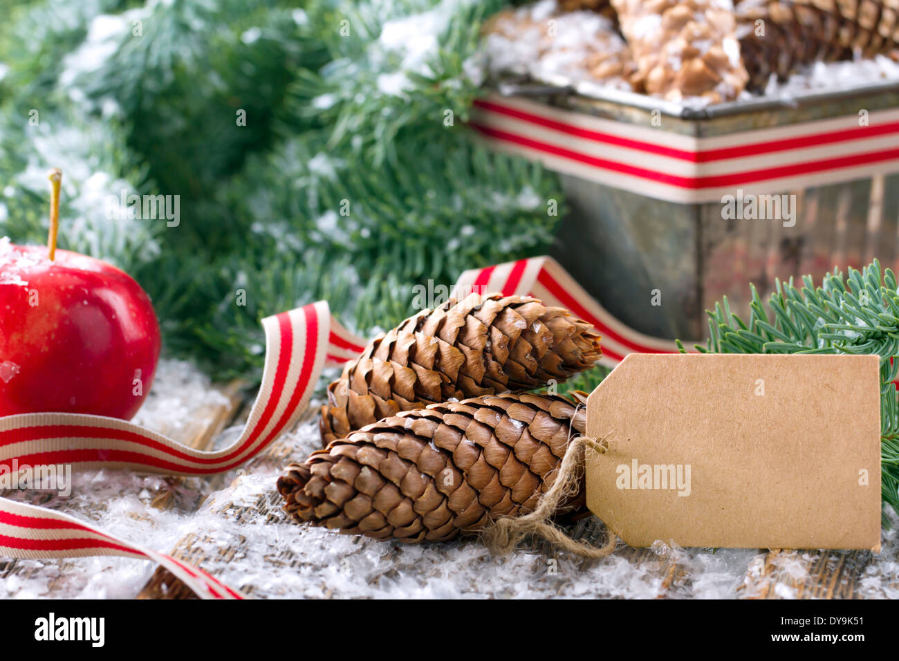 Brown pine cones and green spruce tree branches with snow in a ...