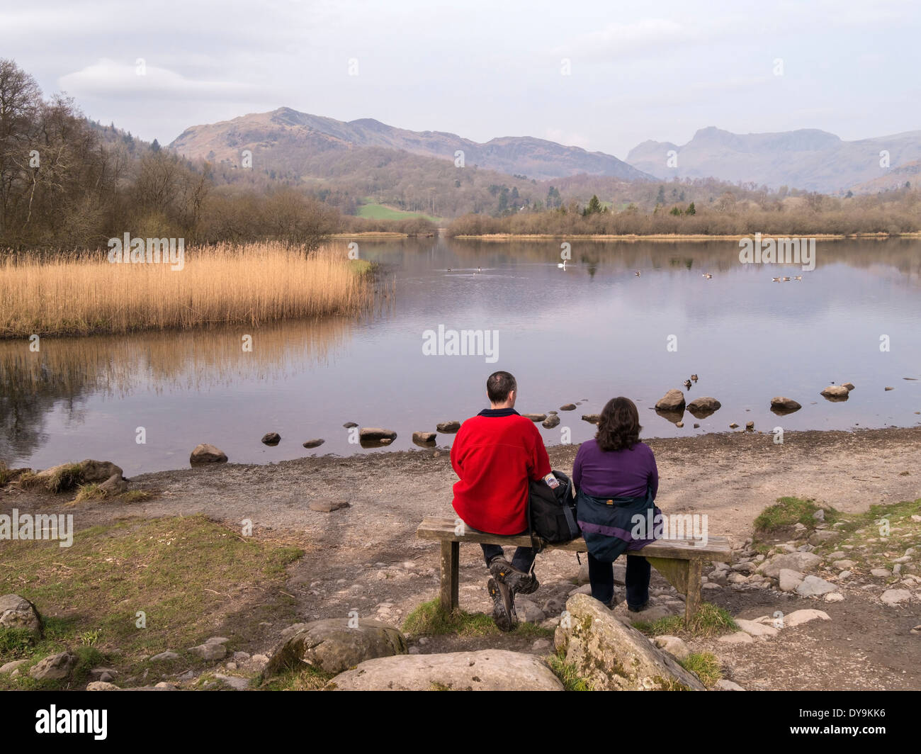 Adult couple admiring view of Elterwater and the Langdale Pikes in the English Lake District, Cumbria, UK Stock Photo