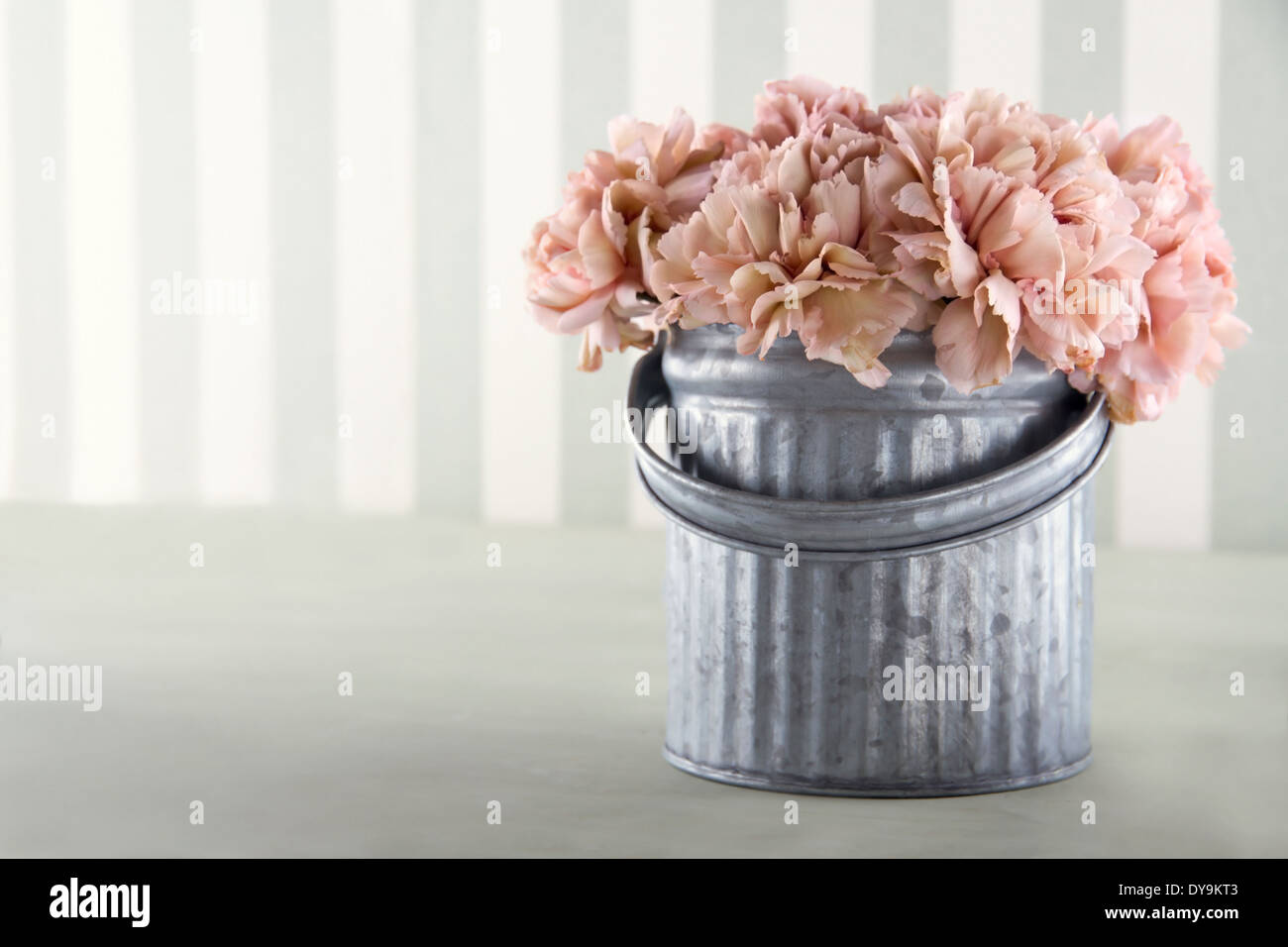 Apricot color carnation flowers in a metal bucket on vintage striped background with copy space Stock Photo