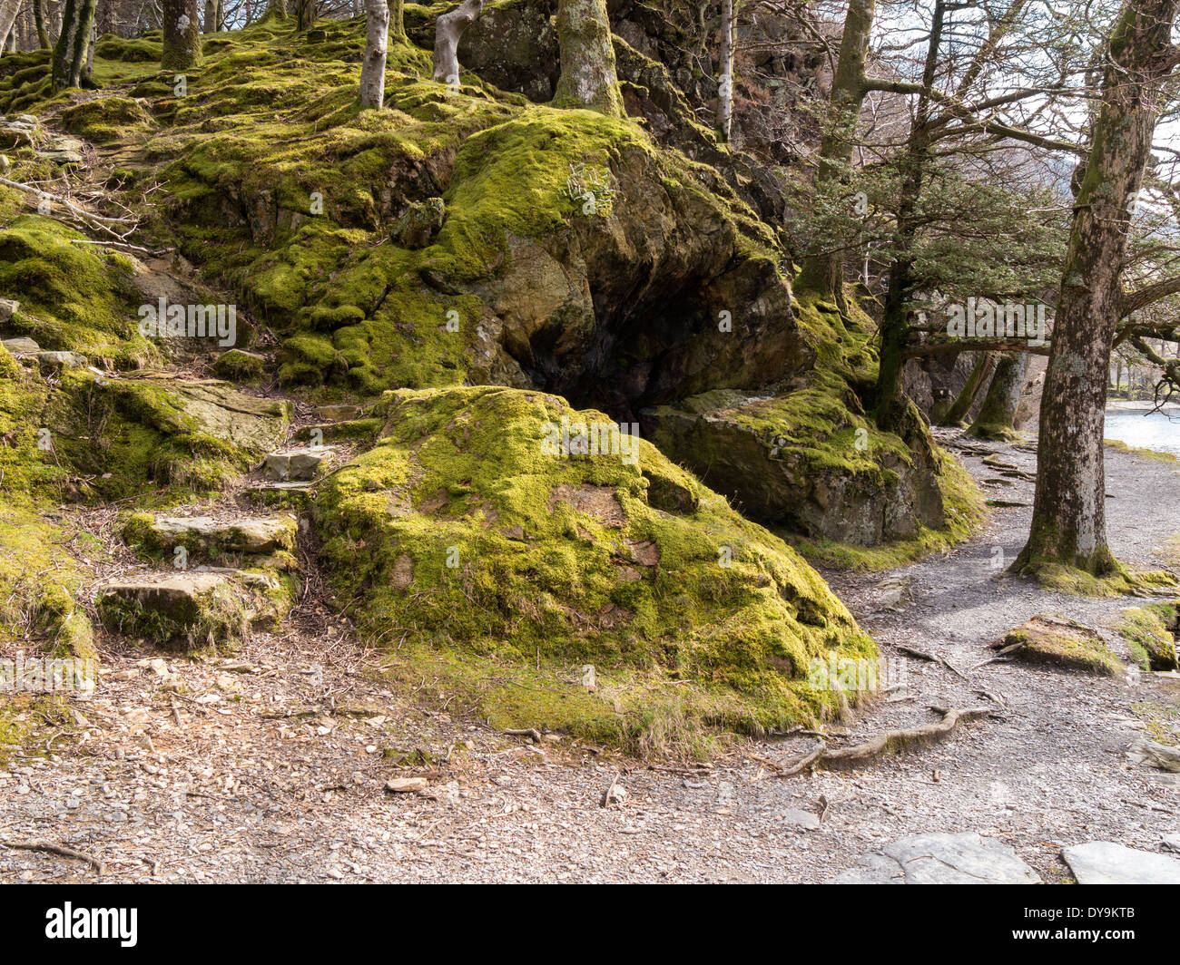 Winding footpath with stone steps by the shores of Lake Buttermere, English Lake District, Cumbria, England, UK Stock Photo