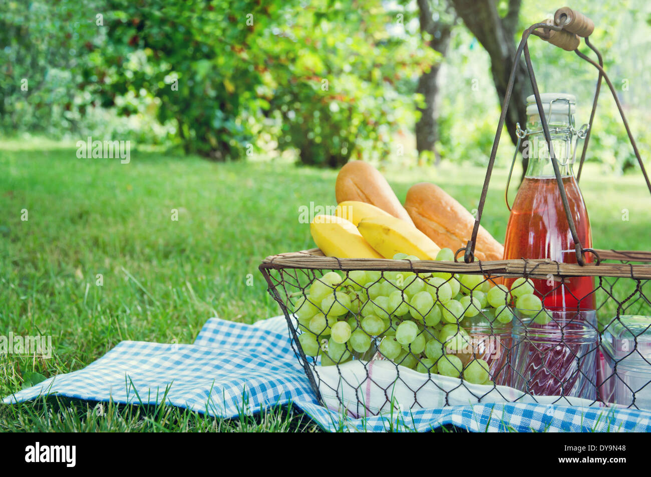 Vintage picnic basket with fruit, bread and juice on blue blanket in a green summer garden Stock Photo