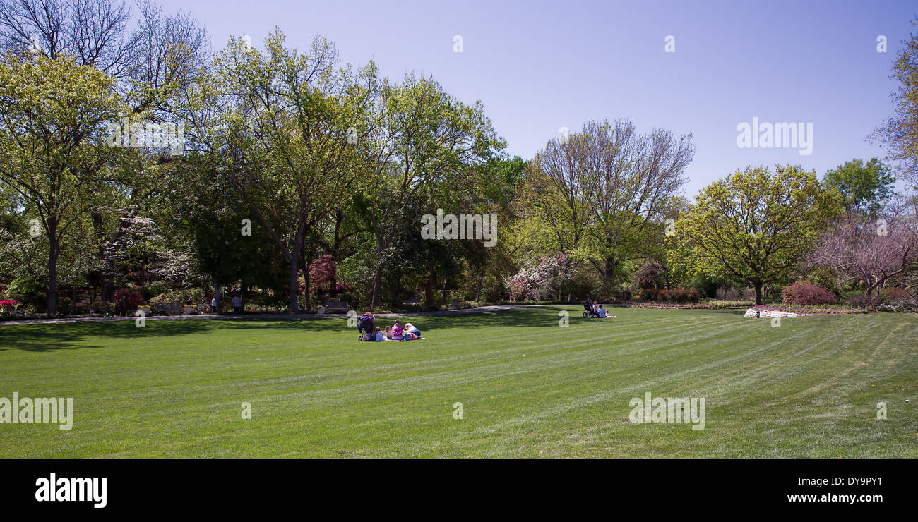 Springtime Picnic in Dallas Arboretum Stock Photo