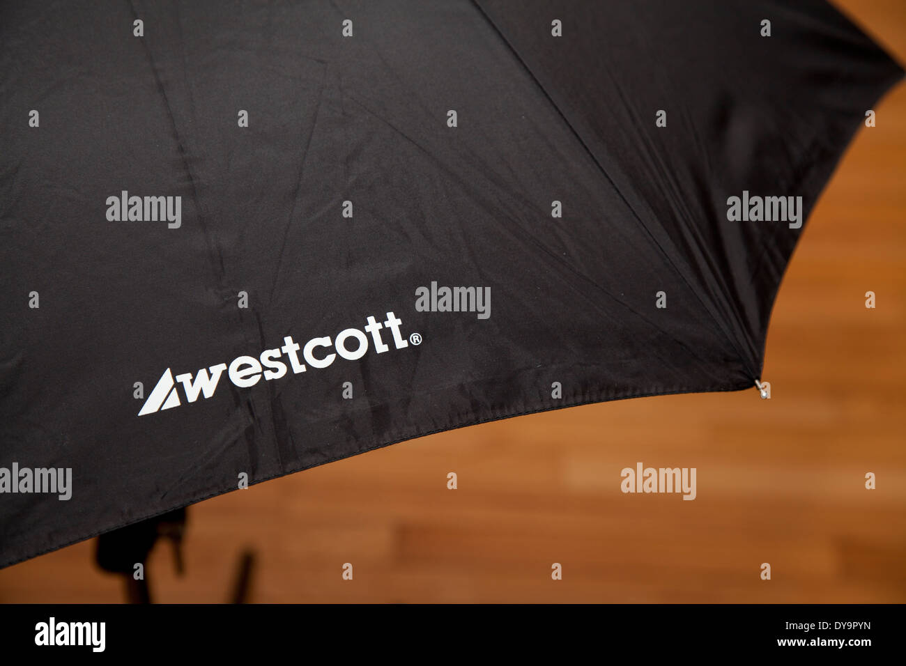 westcott studio lighting umbrella Stock Photo