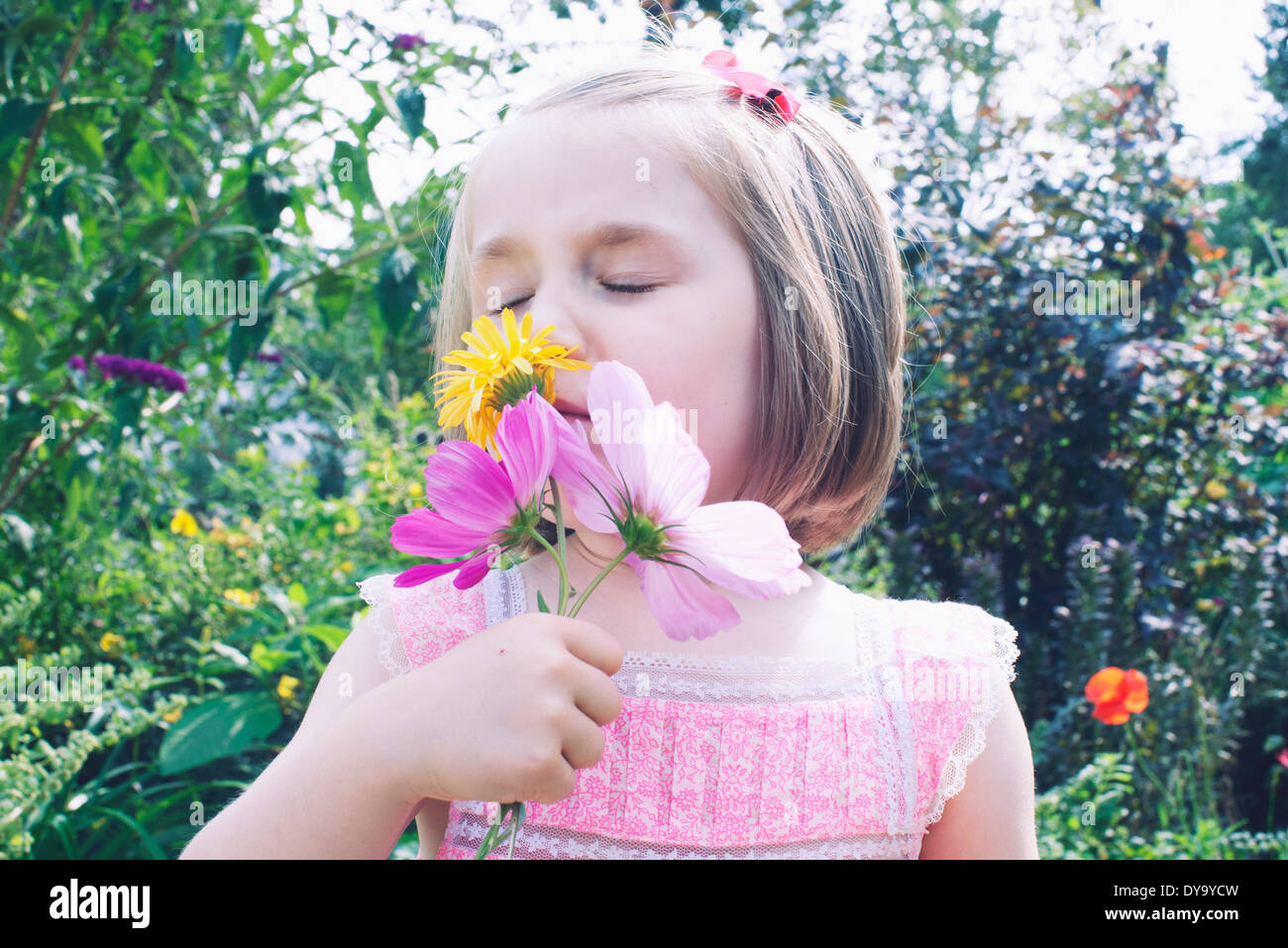 Little girl smelling flower Stock Photo Alamy