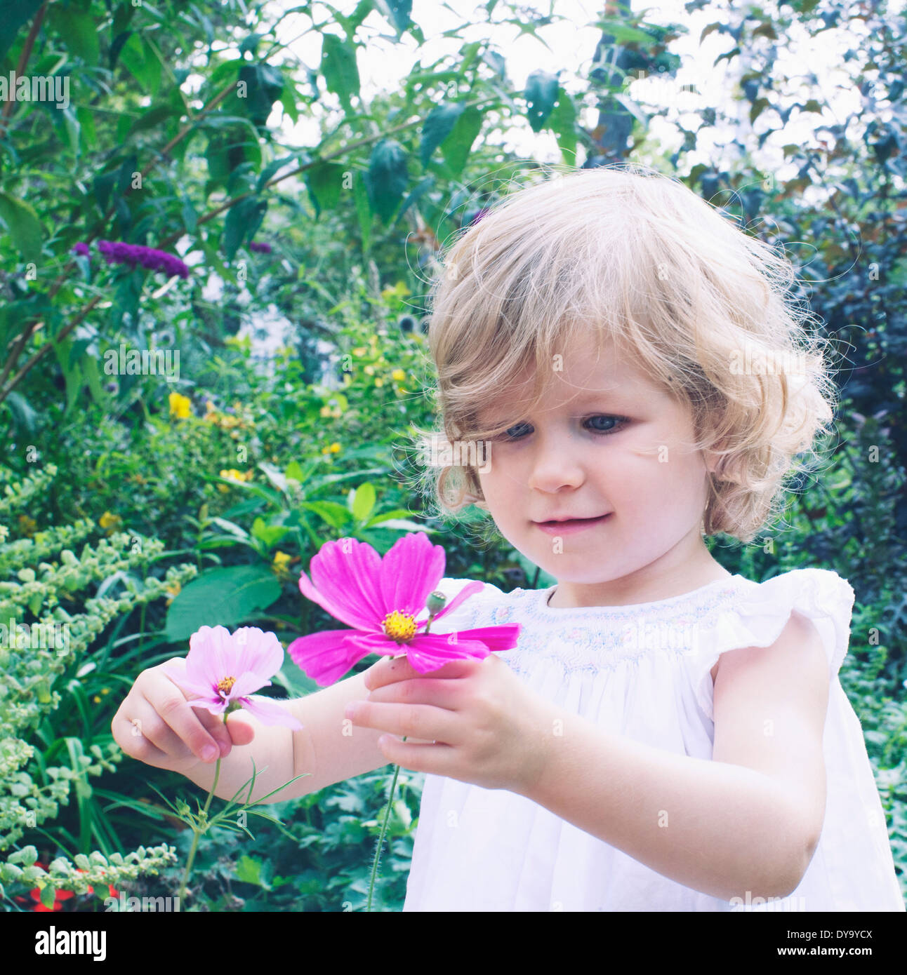 Little girl picking flowers Stock Photo Alamy