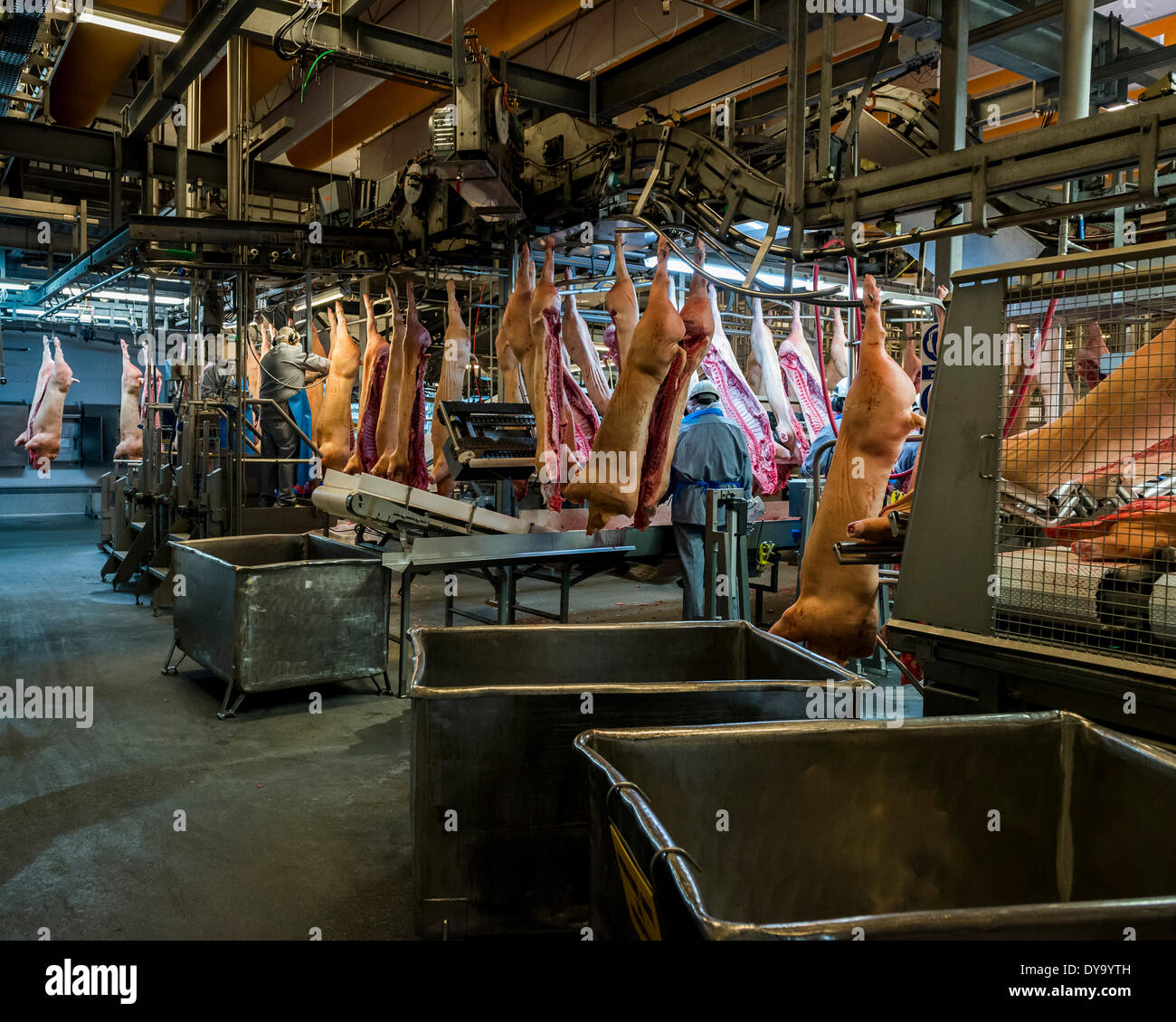 Butchers line hi-res stock photography and images - Alamy