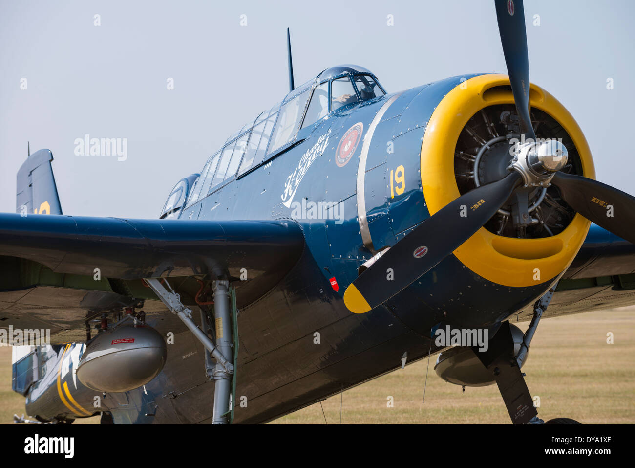 Grumman TBM-3E Avenger torpedo bomber, 'Charlie's Heavy', at the Flying Legends Airshow, Imperial War Museum Duxford Stock Photo