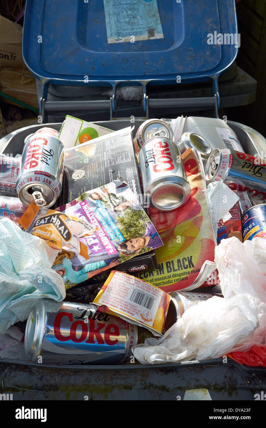 Domestic recycling bin Stock Photo Alamy