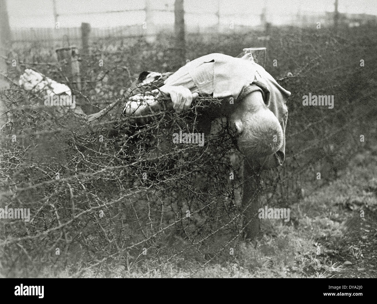 WW II historical war world war second world war Germany corpse body prisoner barbed wire fence fence Leipzig-Thekla sub-camp, Stock Photo