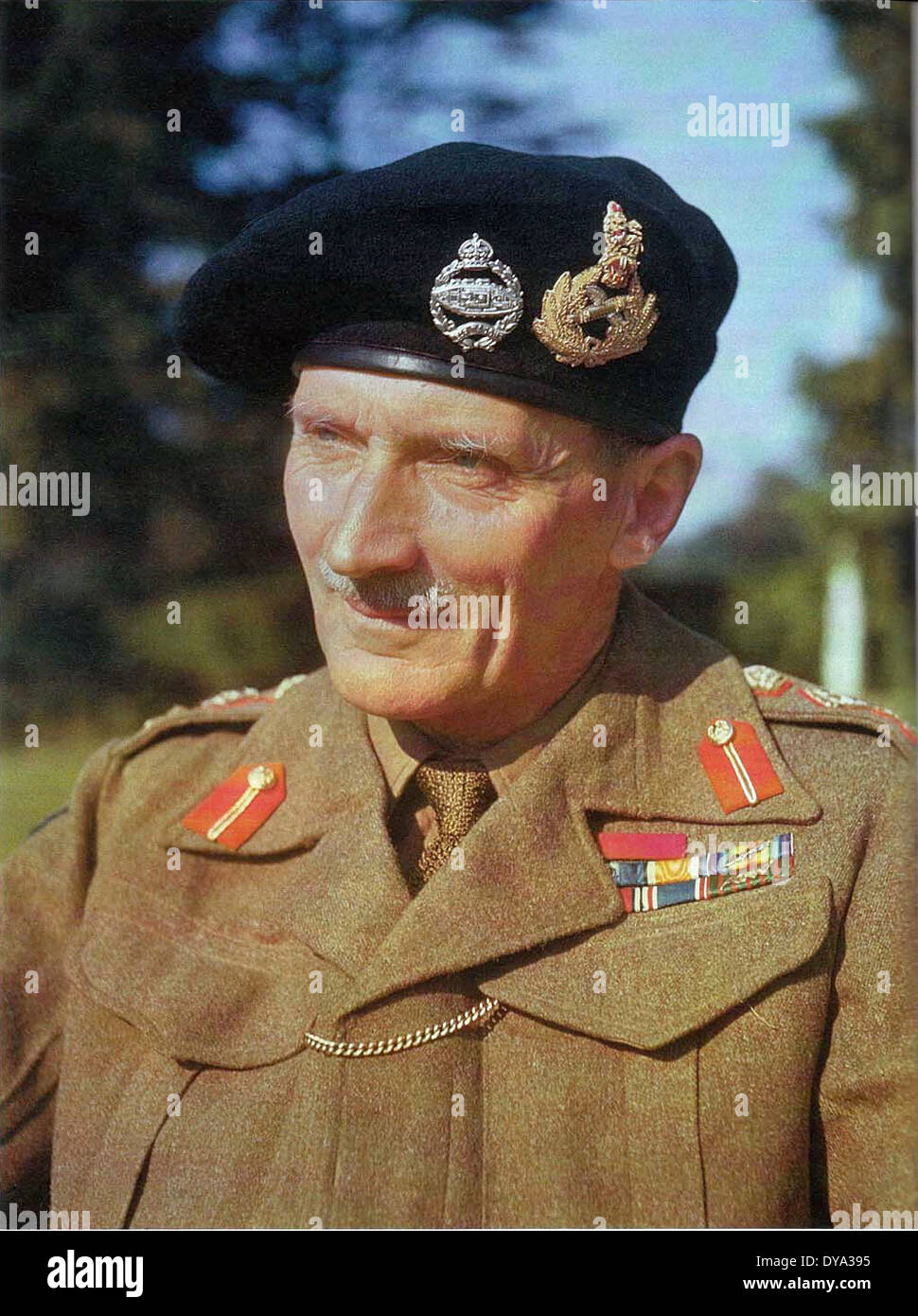 Field marshal montgomery hires stock photography and images Alamy