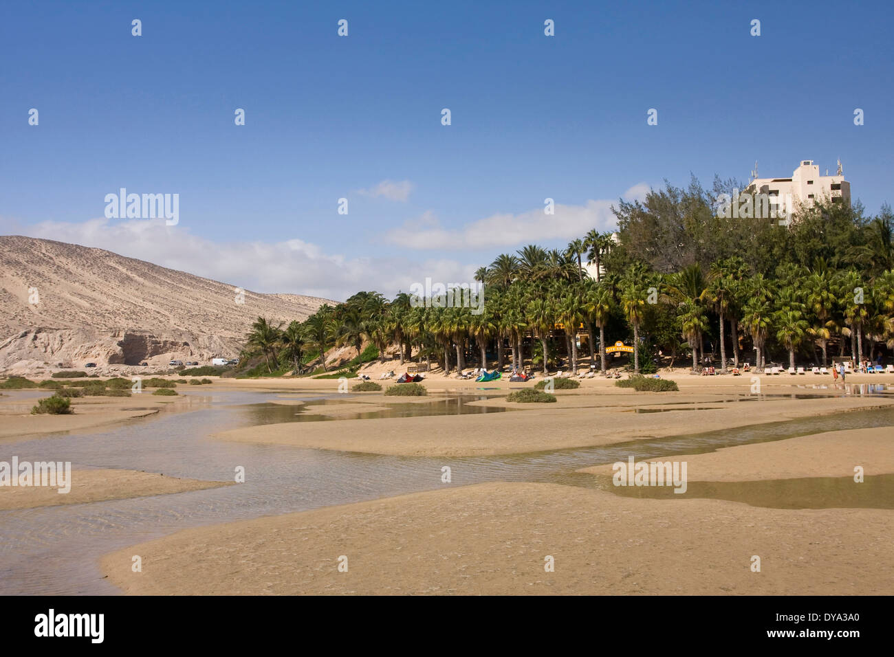 Beach Seashore Morro Jable Jandia Fuerteventura Canary islands Spain Europe beach Europe holidays palms Jable Jandia, Stock Photo