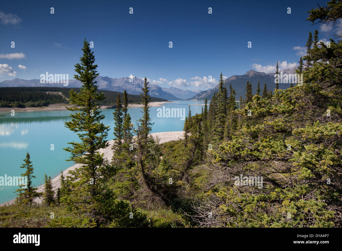 Canada Albert Mountain Forest 77,300+ Alberta Forest Stock Photos,