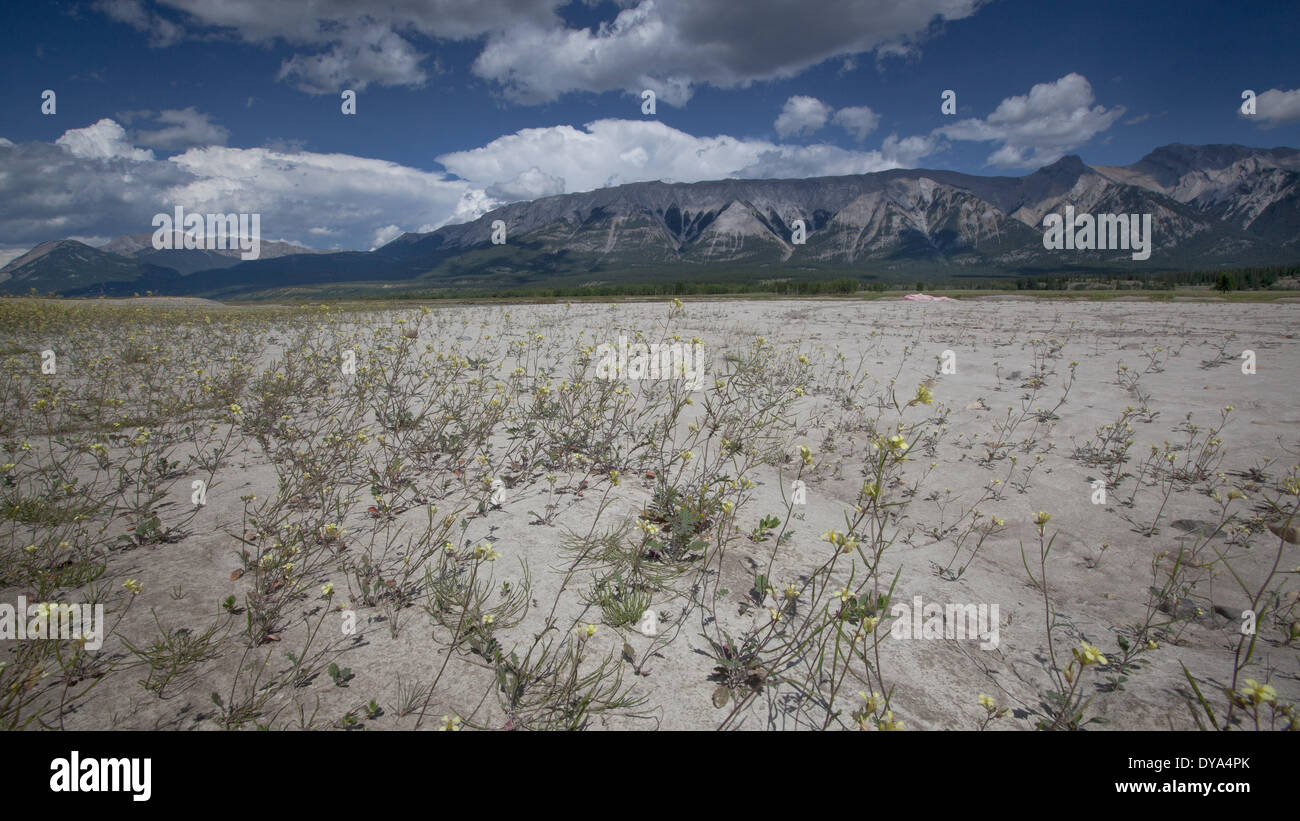 Abraham Lake, Alberta, mountains, Canada, scenery, landscape, North America Stock Photo