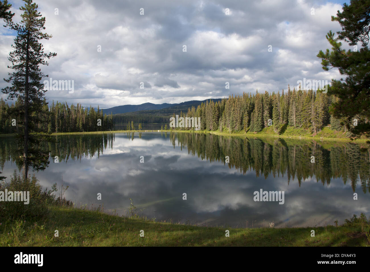 Alberta Canada scenery landscape North America lake reflection wood 