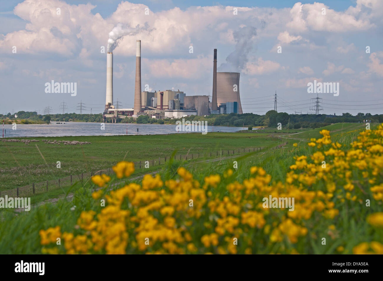 Germany Duisburg Europe EVONIK coal-fired power station power station energy Nordrhein Westphalia Rhine Ruhr area STEAG Walsum, Stock Photo