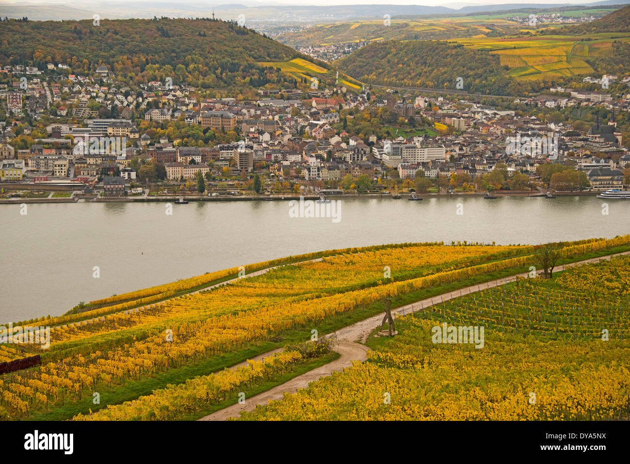 Bingen Germany Europe Hessen Rhine Valley vineyards panorama Palatinate