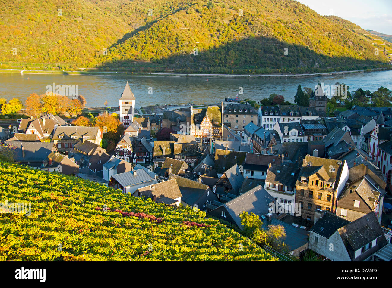 Old Town, Bacharach, Germany, Europe, Rhine Valley, superior