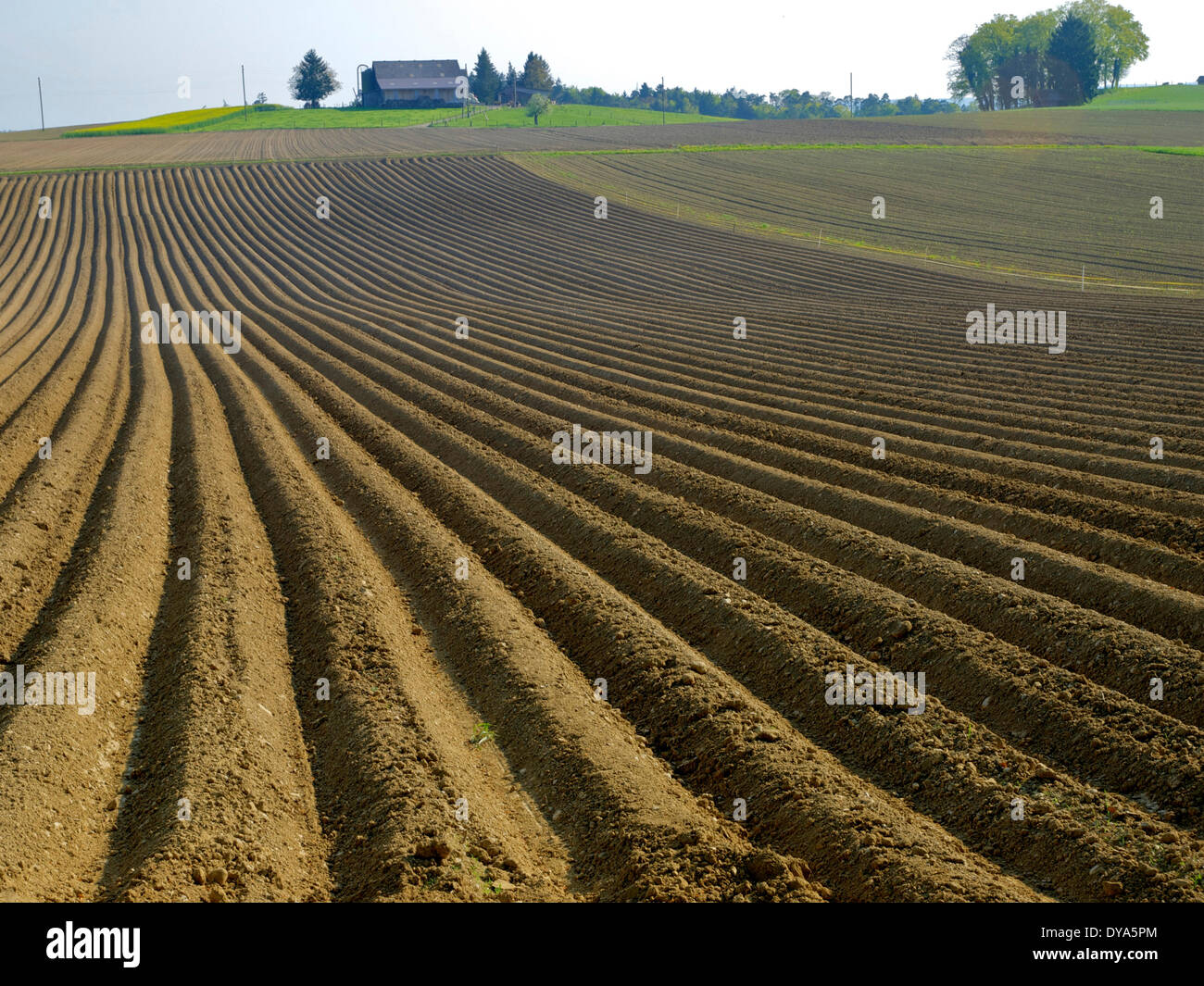 Switzerland, Europe, Thurgau, field, farm, field, furrows, agriculture, plant, plow Stock Photo