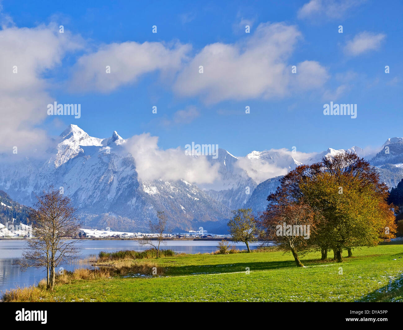 Switzerland, Europe, canton Zug, Aegerisee, Alps, mountains, grass, green, fruit-trees, snow, lake, Stock Photo