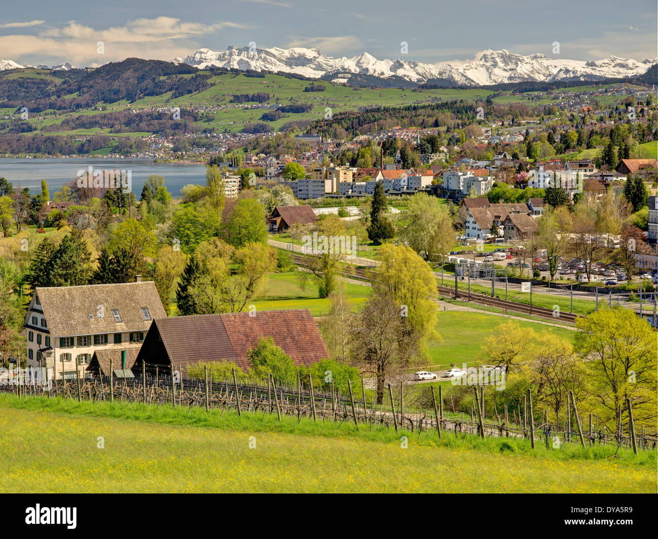 Switzerland Europe canton Zurich Fohn research institute spring Glarus Alps Alps green peninsula Au pasture vineyard Wädenswil Stock Photo