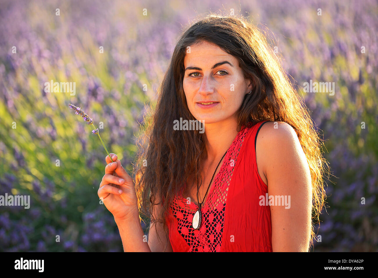 Europe France Provence Vaucluse Lavender Field Woman Walk Red Dress Bloom Blooming Nature Girl Walking French Brunette Hat Europe France Provence Vaucluse Lavender Field Woman Walk Red Dress Bloom Blooming Nature Girl Walking French Brunette Hat