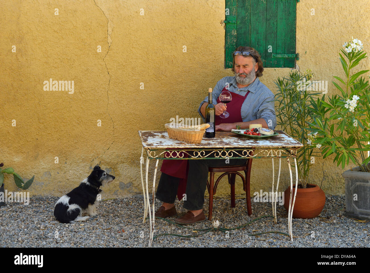 Europe, France, Provence, man, sit, french, table, wine, St. Saturnin les Apt, dog, flowers, table, courtyard, fifty Stock Photo
