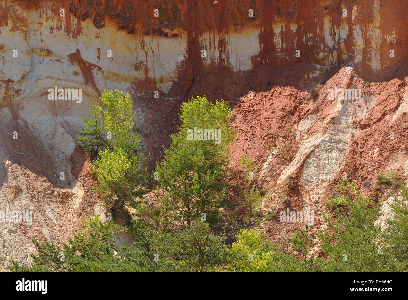 Europe, Roussillon, Vaucluse, Provence, France, ochre, rock, red, cliff, nature Stock Photo