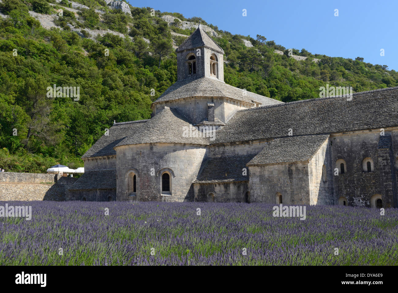 France Europe Provence Vaucluse Provence Abbaye Notre-Dame de Senanque Senanque Cistercian romanic building stone lavender Stock Photo