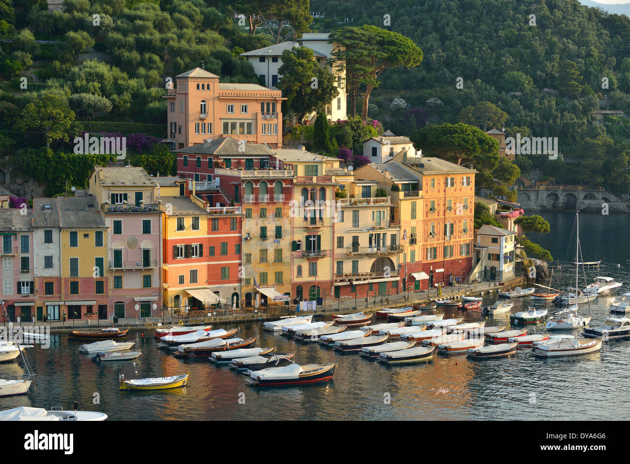 Italy, Riviera, Genoa province, Portofino, Mediterranean, town, coast, coastal, yacht, harbor, cove Stock Photo