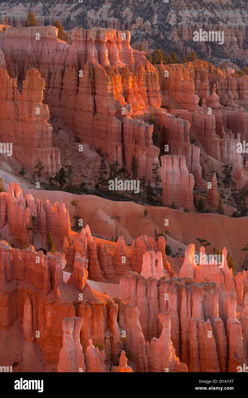 Utah USA America United States canyon canyons dry desert Bryce Canyon National Park UT hoodoos spires sandstone gorge fall, Stock Photo