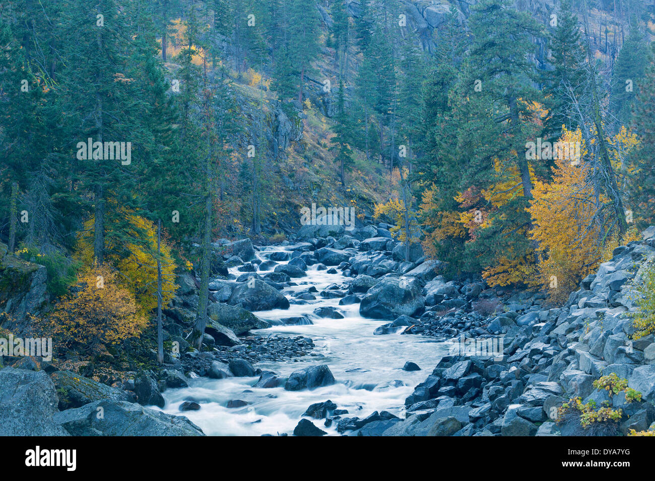 water WA Washington USA America United States colour fall river creek brook stream falls cascade waterfalls waterfall rock Stock Photo