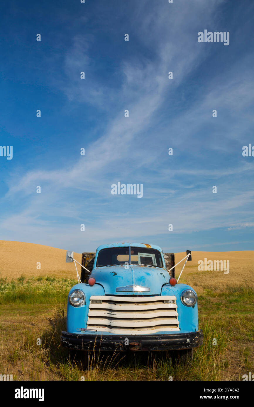 truck, Chevy, Chevrolet, auto, antique, wheat, Palouse, harvest, agriculture, farm, farming, WA, Washington Stock Photo