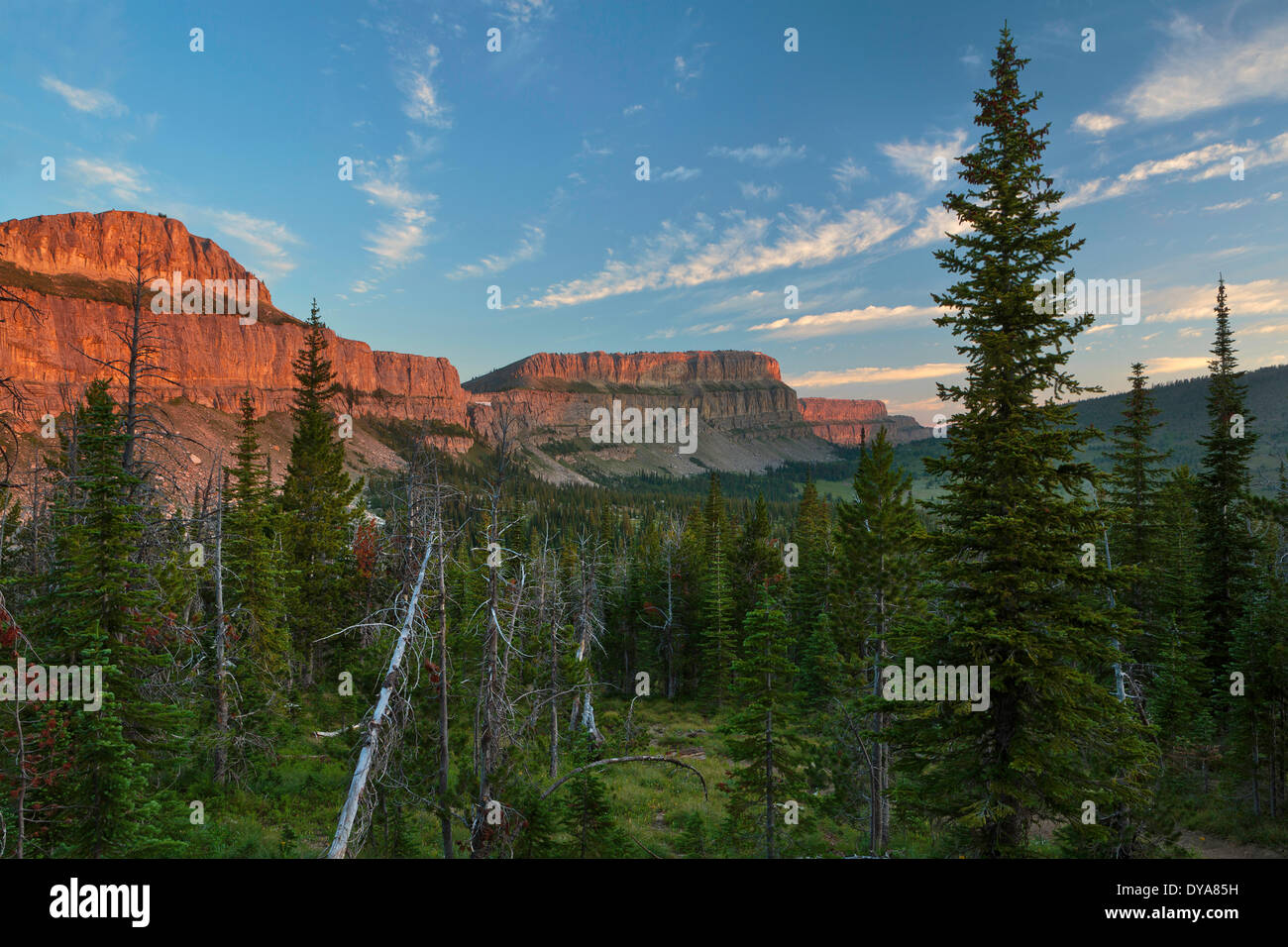 Chinese Wall The Bob MT Montana USA America United States Bob Marshall Wilderness meadow wild wilderness woods forest White B Stock Photo
