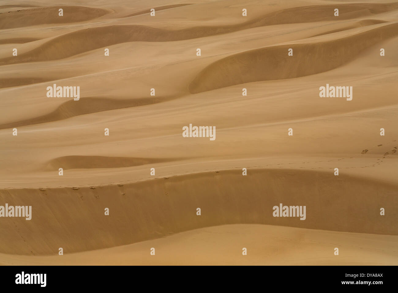 Oregon OR USA America United States dunes sand dry Oregon Dunes Dellenbach Trail coast coastal Oregon Coast abstract Stock Photo