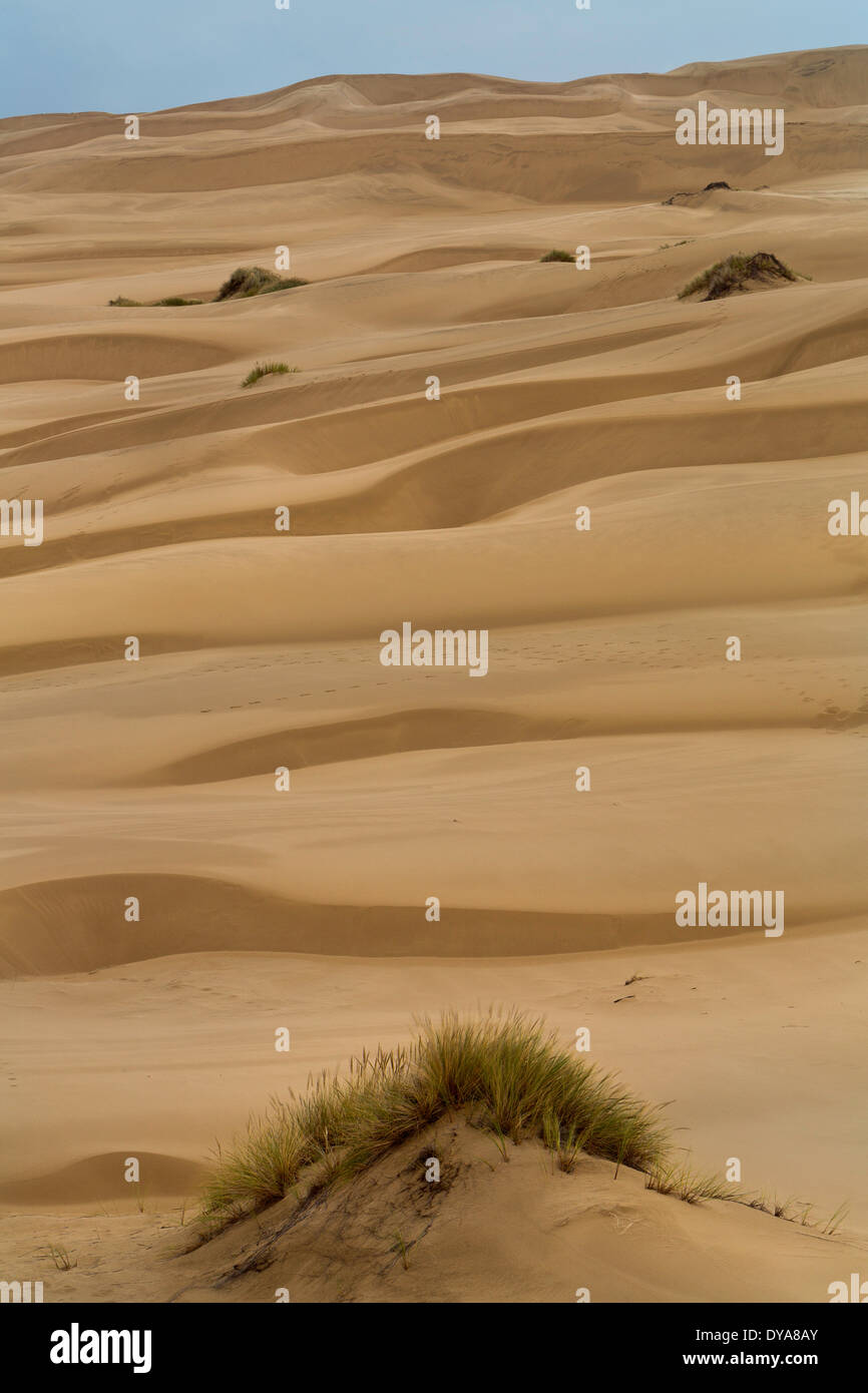 Oregon OR USA America United States dunes sand dry Oregon Dunes Dellenbach Trail coast coastal Oregon Coast abstract Stock Photo