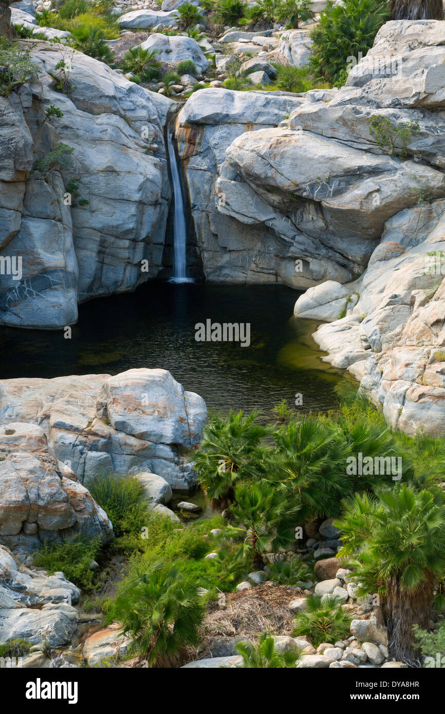 Baja, Baja de Mexico, Mexico, Central America, palm, palms, palm trees, oasis, pool, water, cascade, waterfall, falls, tropical Stock Photo