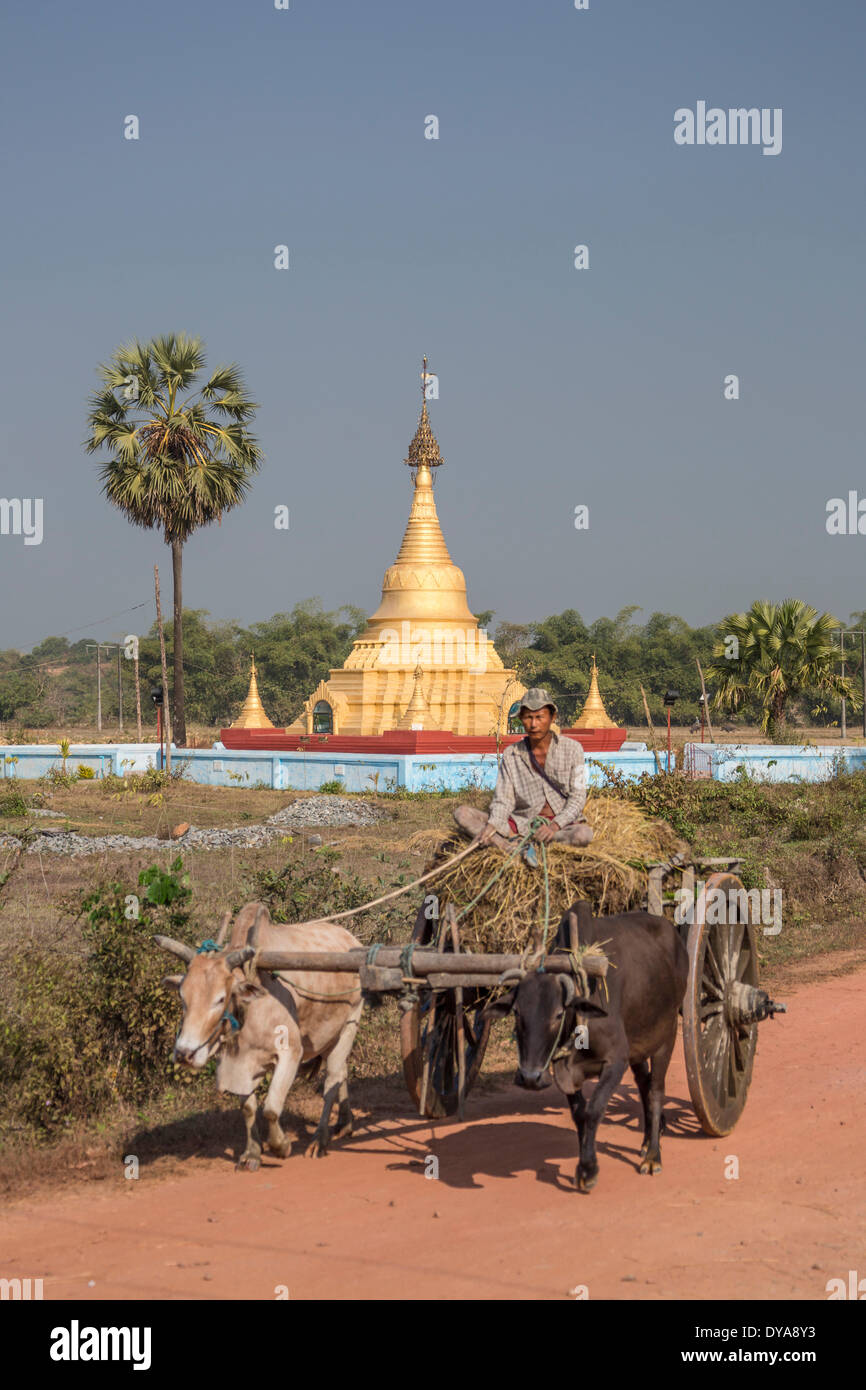 Local transport, Mon, Myanmar, Burma, Asia, cows, lorry, ox cart, stupa, touristic, traditional, travel Stock Photo