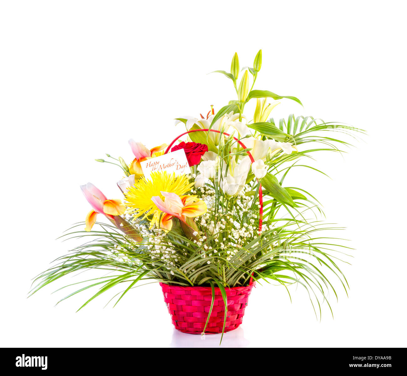 Basket with flowers for Mother on white background Stock Photo