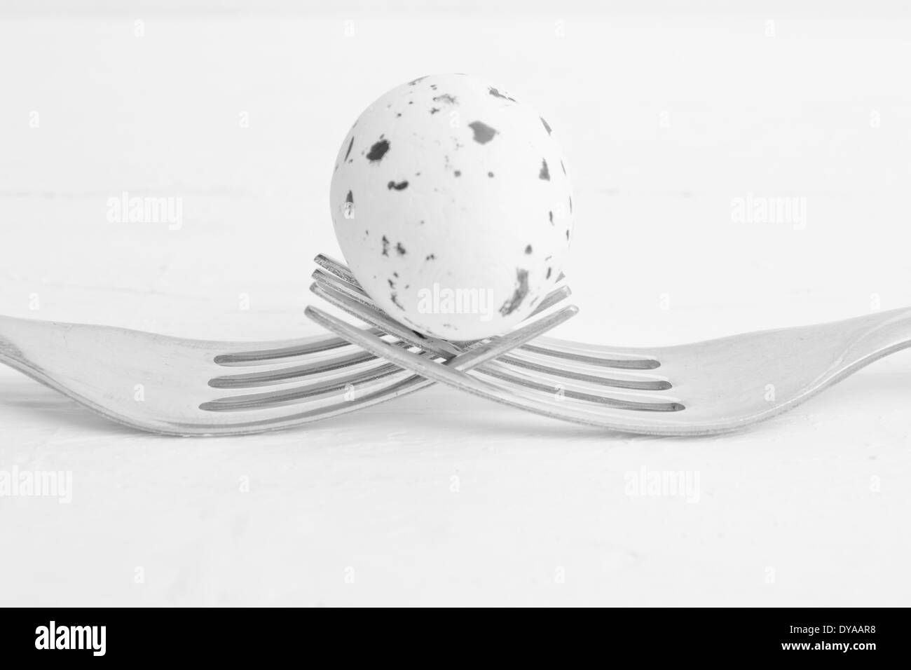 A Quail's egg positioned between two forks. The two forks holding up the Quail's egg. Stock Photo