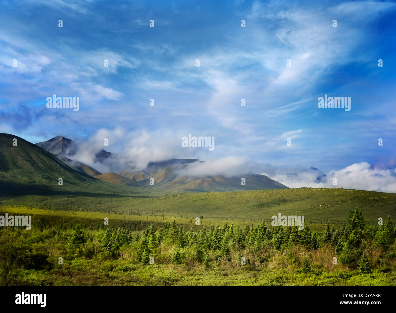 Denali national park alaska landscape hi-res stock photography and ...
